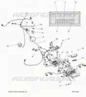 ELEKTRIC, HARNESS