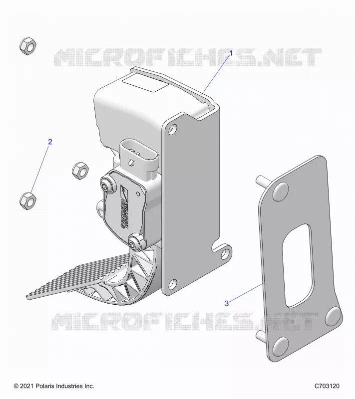 ENGINE, GASPEDALES -Z24NEE99A2/B2 (C703120)