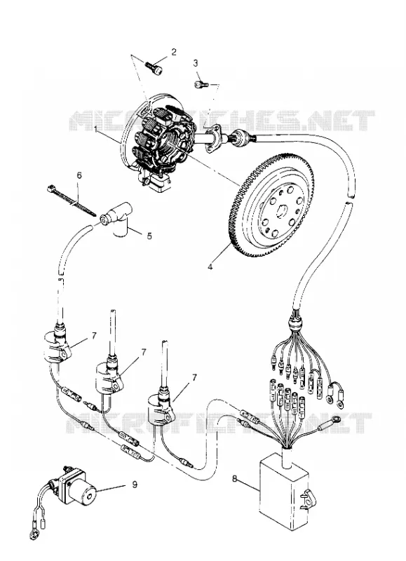 MAGNETO ASSEMBLY  SLT 750 B954170 (4930563056C006)