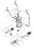 ÖLPUMPE XLT 0970756, XLT SKS 0970556,  and XLT RMK 0970956 (4937693769D005)