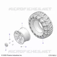 RADS, REAR