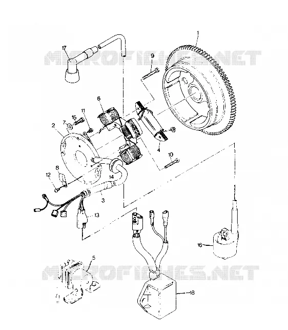 MAGNETO ASSEMBLY 250 2X4