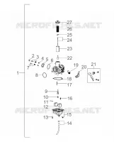 MOTOR, VERGASER