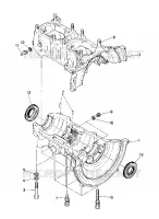 CRANKCASE TRAIL (4916831683025A)