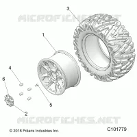 RADS, REAR