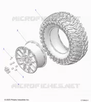 RADS, REAR