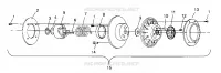 angetriebene Kupplungs ASSEMBLY XLT Special (Xtra) 0946767 (4927112711024A)