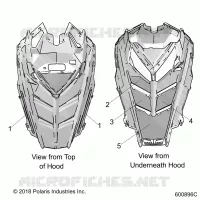 HAUBE FOAM/SEAL