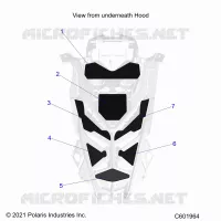 HAUBE FOAM/SEAL
