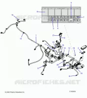 ELEKTRIC, HARNESS