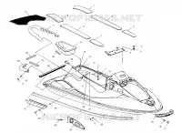 HULL   BODY