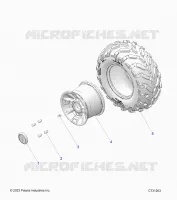 RADS, REAR