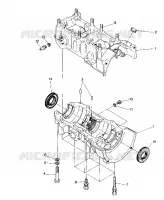 CRANKCASE 500 AND 500 CLASSIC (4915411541032A)