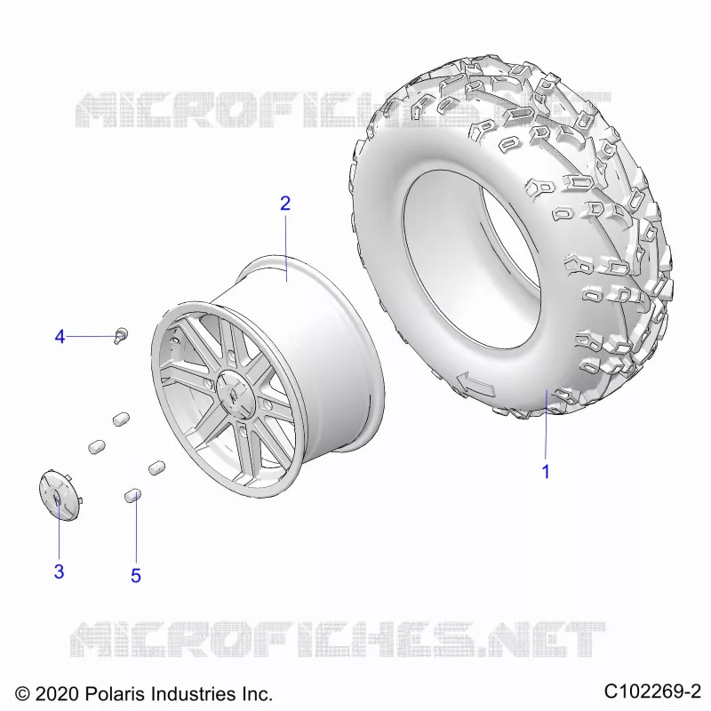 RADS, REAR