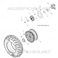 RADS, REAR