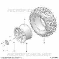 RADS, REAR