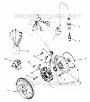 MAGNETO ASSEMBLY MAGNUM 2X4 W957544 (4926852685D008)