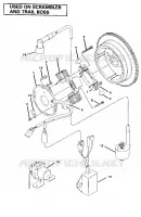 MAGNETO ASSEMBLY (4910981098052A)