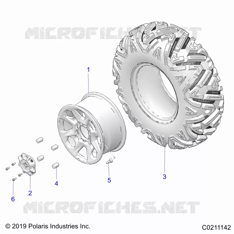 RADS, REAR