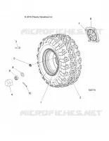 RADS, REAR