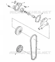 WASSERPUMPE 500 INDY 0982764(A)(B) and EUROPEAN 500 INDY E982764A (4942104210C010)