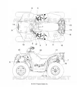 DECALS
