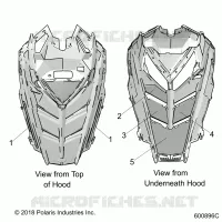 HAUBE FOAM/SEAL