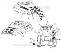 HAUBE