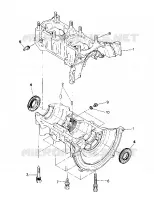 CRANKCASE  TRAIL (4919281928025A)
