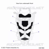 HAUBE FOAM/SEAL