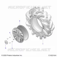 RADS, REAR