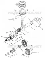 KURBELWELLE AND KOLBEN MAGNUM 4X4 W968144 AND SWEDISH MAGNUM 4X4 S968144 (4936053605D002)