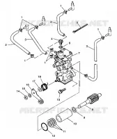 ÖLPUMPE XLT LTD 0973756 and EUROPEAN XLT LTD E973756 (4937793779C010)