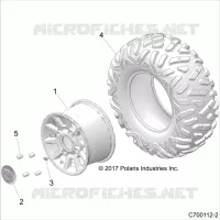 RADS, REAR