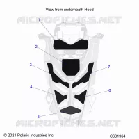 HAUBE FOAM/SEAL
