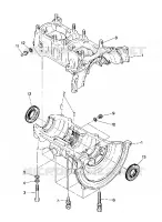 CRANKCASE TRAIL (4916831683025A)
