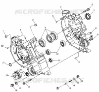 CRANKCASE  XPLORER 500 W97CD50A (4941354135D002)