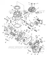 CRANKCASE AND ZYLINDER SPORTSMAN 4X4 / W938039 (4926382638035A)