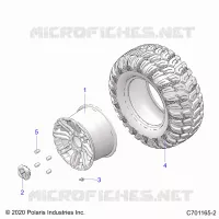 RADS, REAR