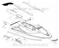 HULL   BODY