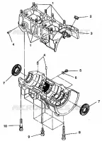 CRANKCASE ASSEMBLY CLASSIC E942865 (49274027400037)