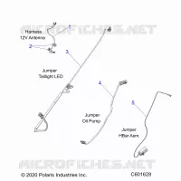 ELEKTRIC, JUMPER WIRES