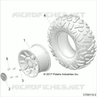 RADS, REAR