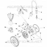 MAGNETO ASSEMBLY