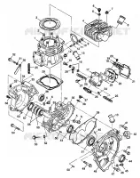 CRANKCASE AND ZYLINDER XPLORER 400L W98CC38C (4945414541C013)
