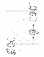 TREIBSTOFF PUMP (600 AND 600 SE) (4909500950051A)