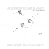 ELEKTRIC, BULBS