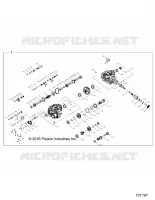 DRIVE TRAIN, MAIN GEARCASE INTERNALS