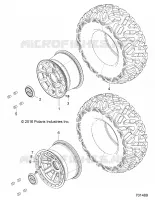 RADS, REAR