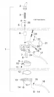 MOTOR, VERGASER